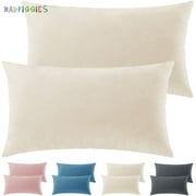 BadPiggies 2 Pack Velvet Soft Soild Pillowcases Body Throw Pillow Cover for Sofa Couch Bedroom (20" x 30")