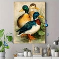 thumbnail image 4 of Ducks in Pond Canvas Print, Antique Bird Artwork, Vintage Farmhouse Style Wall Decor, 4 of 8