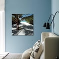 thumbnail image 2 of Palm Tree on Sandy Beach, Scenic Unframed Photographic Print Wall Art Sold by Art.Com, 2 of 4