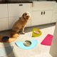 thumbnail image 5 of pink Alfombrilla de silicona para comida de mascotas, impermeable, antideslizante, evita derrames, mantel Flexible fácil de limpiar, 3 uds., 5 of 5