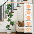 thumbnail image 2 of JoanKaren 6FT Artificial Fiddle Leaf Fig Tree,Fake Plant with Black Nursery Planter, Large Fake Tree for Home or Office Decor - Artificial Plants Indoor Outdoor,Housewarming Gift, 2 of 8