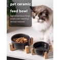 thumbnail image 3 of Cat Black Ceramic Bowl Pet Food Water Feeders Dogs Double Drinking Eating Feeding Bowls with Stand, 3 of 10