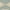 Cream/Aqua, variant on Safavieh Linden Celandine Geometric Area Rug or Runner