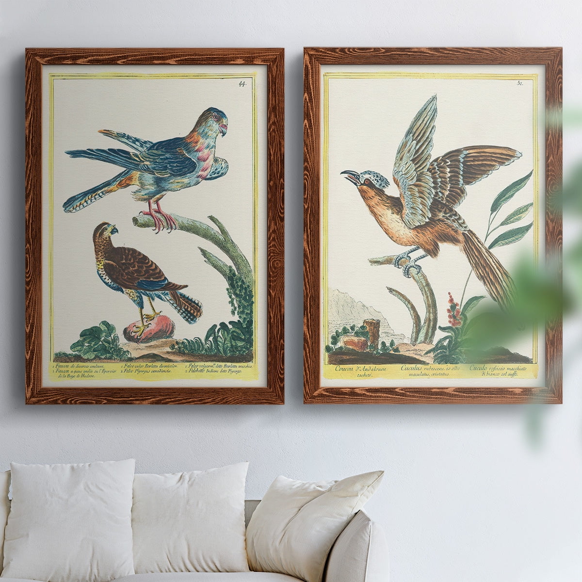Pastel Birds III - Premium Framed Canvas 2 Piece Set - Ready to Hang