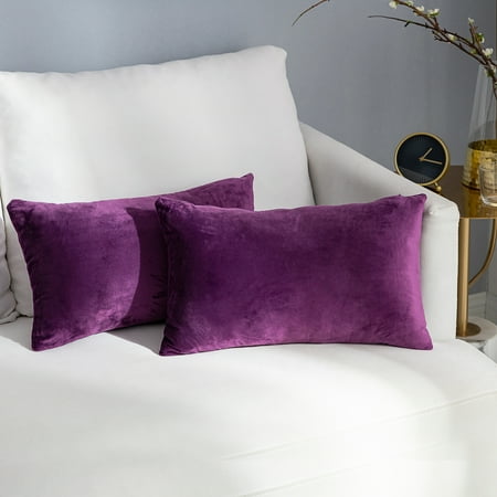 Decorative Pillows Set Of Two Throw Pillows Covers for Couch, Set of 2 Premium Velvet Rectangle Solid Decorative Pillows, Cushion Cases Pillowcases for Couch Home Decoration Sofa Bedroom Car, 12'' x 20'', Eggplant Purple, S14439 ()