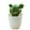 type:style4;, variant on Artificial small tropical plant simulation cactus bonsai artificial simulation potted plant - type:style1;