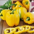 thumbnail image 3 of Bonnie Plants Yellow Bell Sweet Pepper 19.3 oz, 3 of 10