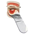 thumbnail image 4 of Jumpingount 5 unids/set de espejo intraoral de vidrio reflectante para dientes, Reflector de doble cara, espejos para boca y dientes, accesorio de cuidado de los oídos, 4 of 6