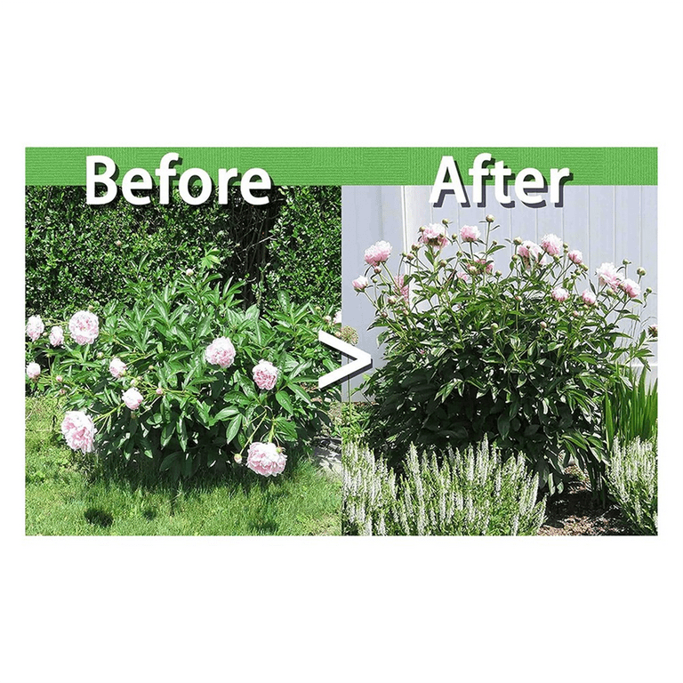 Diy Peony Support Best Peony Rings Sets Peony Support Cage, Grow