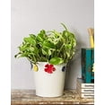 thumbnail image 1 of storeindya Metal Bucket Planter Galvanized Plant Containers Indoor Outdoor Garden Accessories Window Box Christmas Thanksgiving Gift(Colorful Flower Motifs - White), 1 of 2