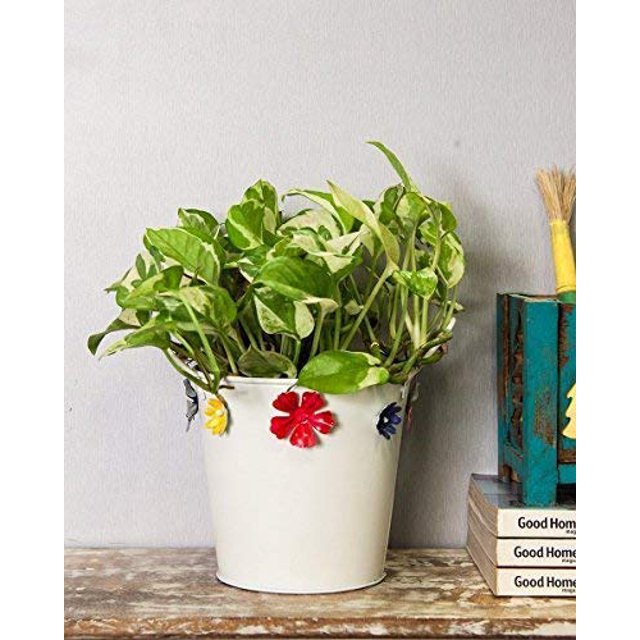 storeindya Metal Bucket Planter Galvanized Plant Containers Indoor Outdoor Garden Accessories Window Box Christmas Thanksgiving Gift(Colorful Flower Motifs - White)