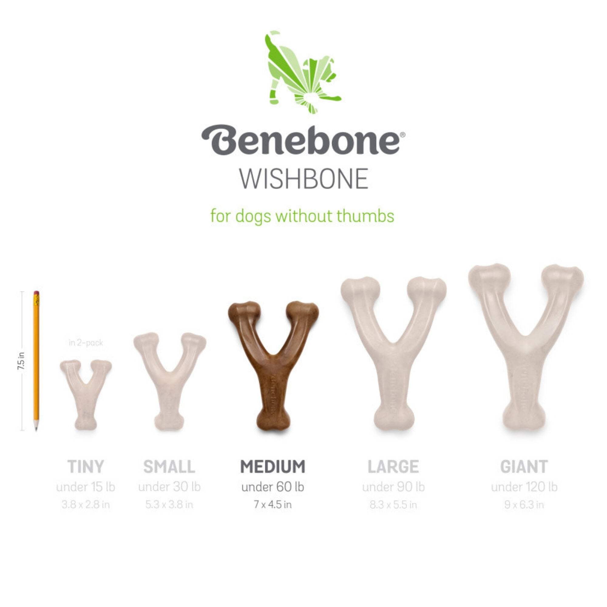 Benebone Wishbone & Dental Chew Dog Toy, Medium, 2-Pk (Size: 2-Pk)