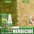 thumbnail image 4 of el control de malas hierbas del herbicida del herbicida 45ml quita los herbicidas de rociadura de la raíz de malas hierbas Tmvgtek 6gn7eg2tp1vj5au2, 4 of 9