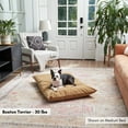 thumbnail image 2 of Happy Hounds Charlie Corduroy Reversible Throw Dog Bed, Medium (42" x 30"), Camel, 2 of 7