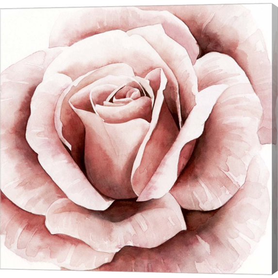 Pink Rose II by Grace Popp, Canvas Wall Art