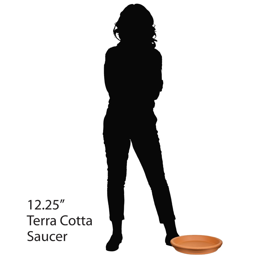 Pennington 12 inch Terra Cotta Clay Standard Saucer, Red