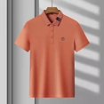 thumbnail image 3 of Camisa polo bordada de verano para hombre, jersey de manga corta, camiseta polo informal de negocios, camiseta holgada con cuello vuelto para hombre, 3 of 5