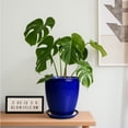 thumbnail image 5 of 8 Inch Small Ceramic Pot with Tray for Fall Centerpiece, Glossy Blue Halloween Planter for Tabletop, Modern Indoor Flower Pot, 5 of 7