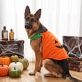thumbnail image 6 of Racsoh Halloween Funny Pet Role Play Costume, Cute Transforming Pumpkin Outfit for Dogs and Cats, Halloween Christmas Party Dress Up Apparel for Photo Shoots (Orange, L), 6 of 6