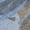 Taupe, variant on Addison Rugs Chantille Indoor/Outdoor Transitional Coastal Black Machine Washable Rectangle Rug, 10' x 14'