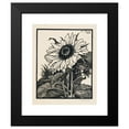 thumbnail image 2 of Julie de Graag 12x14 Black Modern Framed Museum Art Print Titled - Sunflower (1919), 2 of 5