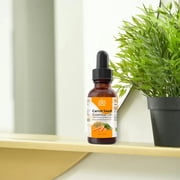 Carrot Seed Essential Oil (Daucus Carota) – Pure Steam Distilled Aromatherapy Oil by Relaxcation