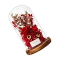 thumbnail image 1 of Advancent Decor The Beautiful and Beast Inmortal Rose Glass Cover Flower Dried Flower Regalo de San Valentín, decoración de flores. Decoración del hogar festival rojo 15x22cm, 1 of 6