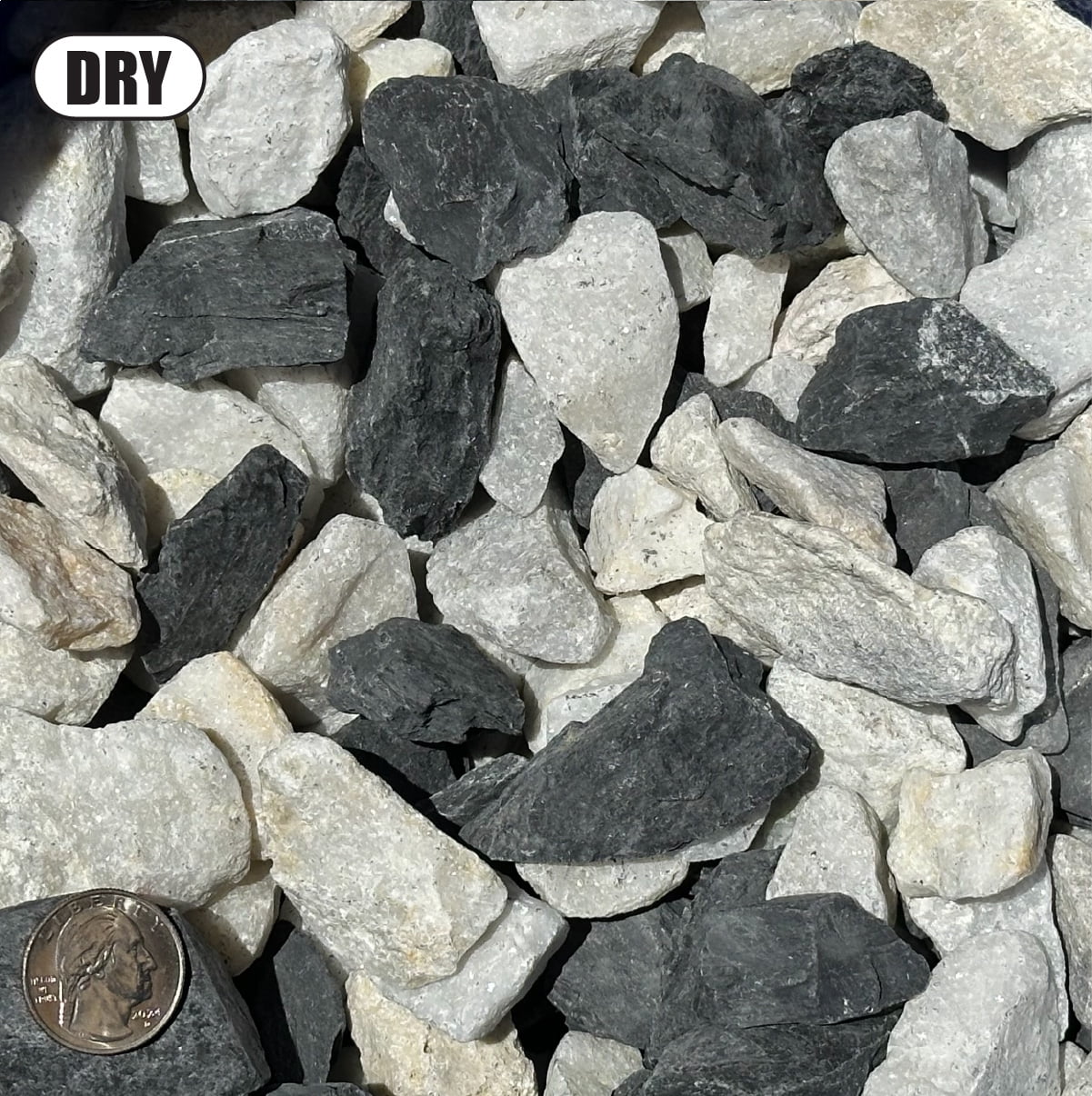 20 Pounds of Black & White Rocks, Size 1" to 3", Gravel Pebbles Stones for Landscaping, Terrariums, Aquariums, Gardens, Pond Water Features, Flower Beds, Pots, Decorative Walkways, Crystals, etc