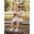 thumbnail image 3 of BemeyourBBs Infant Baby Girls Summer Clothes Plaid Gingham 2 Pieces Smocked Outfit Fly Short Sleeve Camisole Tank Vest Top with Elastic Waist Shorts Set, 3 of 9