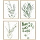thumbnail image 1 of Haus and Hues Impresiones botánicas enmarcadas – Juego de 4 imágenes enmarcadas de plantas para pared, decoración botánica, decoración de eucalipto (marco beige de 8 x 10), 1 of 5