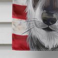 thumbnail image 4 of Carolines Treasures CK6579CHF Jamthund American Canvas House Size outdoor-flags, Multicolor, 4 of 4