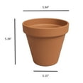 thumbnail image 7 of Artevasi 6 inch Round Terracotta Clay Pot with Drainage Hole To Prevent Over Watering, 7 of 7
