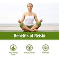 thumbnail image 3 of (3 Pack) Om Mushroom Reishi Mushroom Superfood Powder 100G, 3 of 3