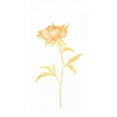 thumbnail image 3 of Vess, June Erica 14x24 Black Modern Framed Museum Art Print Titled - Bouquet Blush II, 3 of 5