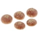 thumbnail image 1 of 5 piezas de decoración secos naturales manualidades DIY decoración de accesorios s, 1 of 8