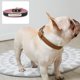 thumbnail image 4 of Collar para perro pequeño y cómodo de cuero suave al tacto, acolchado, ajustable, duradero, anillo de lazo de aleación antioxidante, 4 of 5