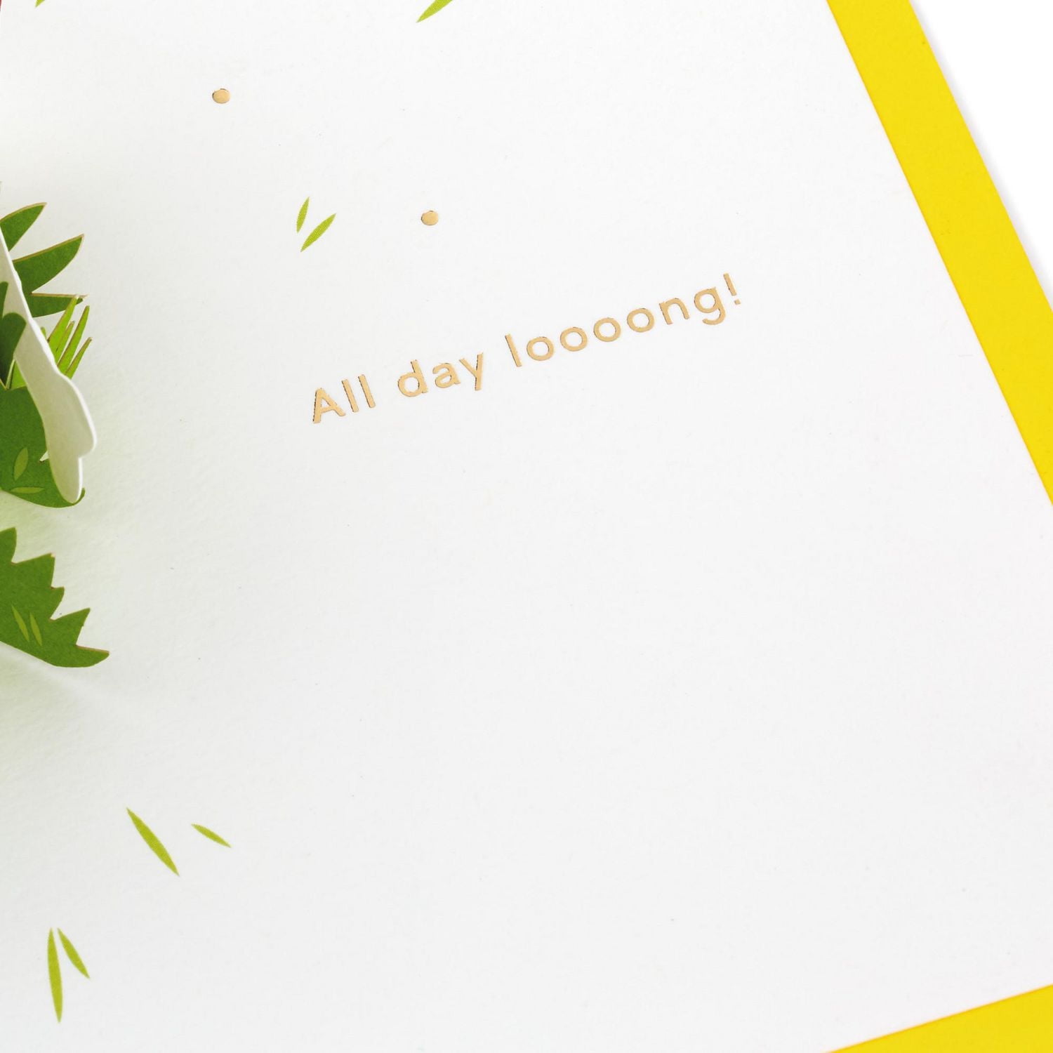 Hallmark Signature Paper Wonder Pop Up Birthday Card (Dachshund, Happy All Day Long)