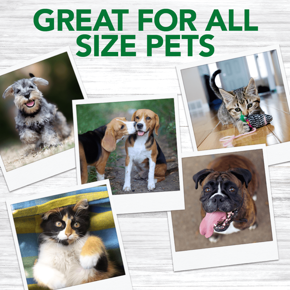 Vet's Best Dog Toothbrush - 10 Green Soft Finger Brushes per Pack -1.76 oz.
