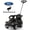 Black, variant on Ford Bronco 3 in 1 Push Car for Toddlers 1–3, Ride On Push Car with Parent Steering Handle, Steering Wheel, Removable Guardrail & Footrest, Music, Horn, Under Seat Storage, Silent Wheels, Black