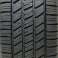 thumbnail image 4 of Goodyear Viva 2 All Season 175/65R14 82H Passenger Tire, 4 of 4