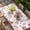 Pink, variant on Blue Polka Dots Table Cloths for 3 Foot Rectangle Tables, Modern Abstract Art Patio Waterproof Elastic Fitted Tablecloths, Washable Rectangular Table Cover for Camping