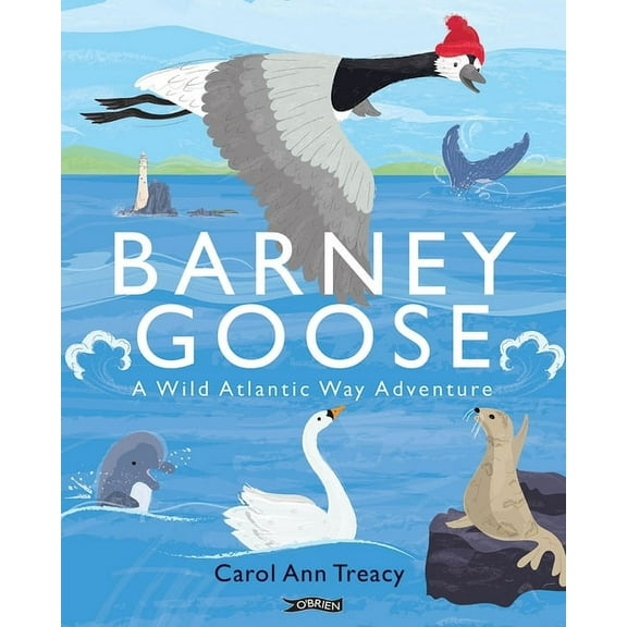 Barney Goose: A Wild Atlantic Way Adventure (Paperback)