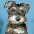 thumbnail image 3 of CafePress - Miniature Schnauzer Fitted T Shirt - Fitted T-Shirt, Vintage Fit Soft Cotton Tee, 3 of 4