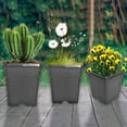 thumbnail image 6 of 10 Pack Nursery Pots 2 Gallon Garden Planter Plastic Sqaure Seedling Pots White Flower Plant Container for Succulents, Seedlings, Cuttings, Transplanting, Black, 6 of 7