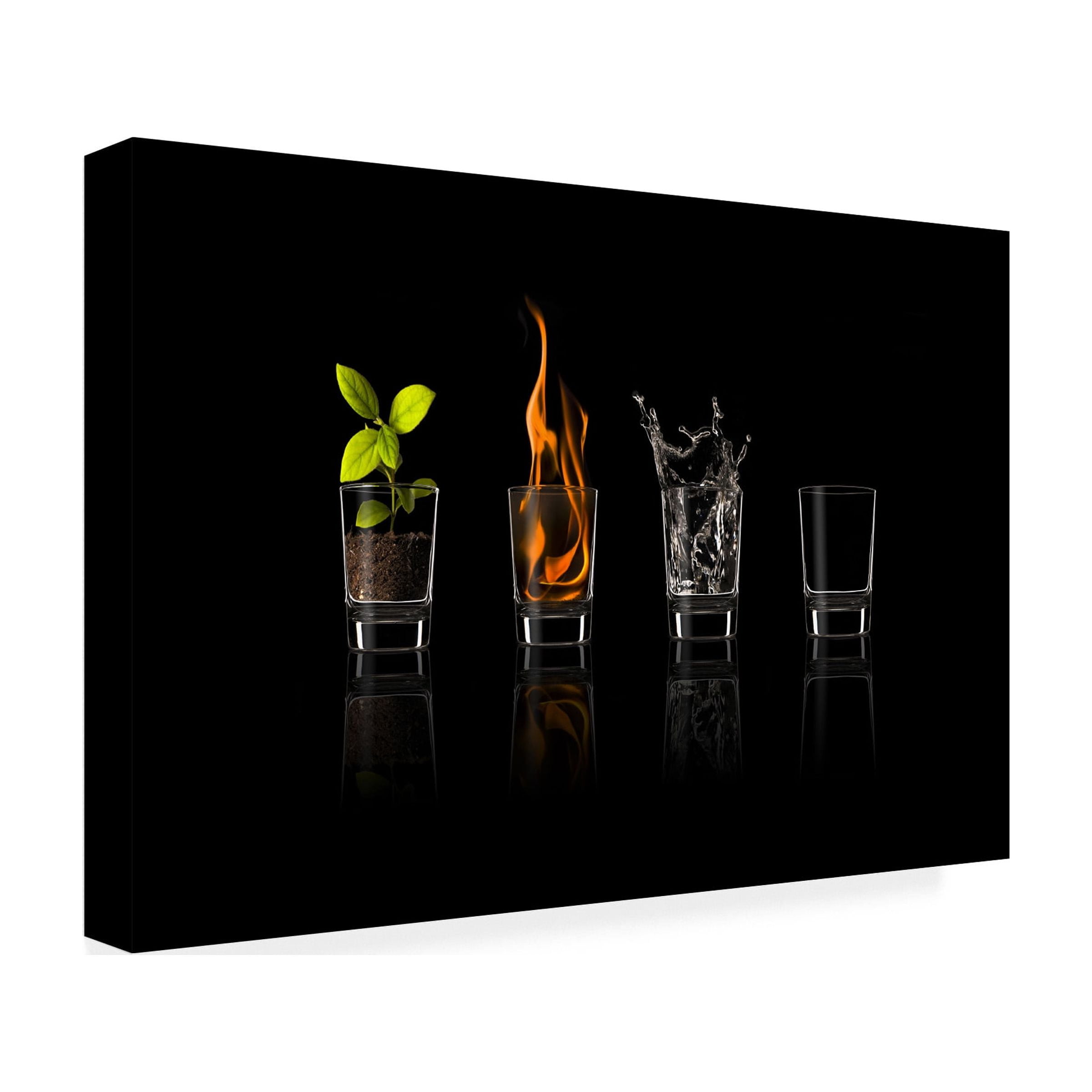 Jose Maria Frutos 'Elements' Canvas Art