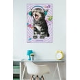 thumbnail image 2 of Kitten - Singing 14 Poster and Poster Clip Bundle, 2 of 2