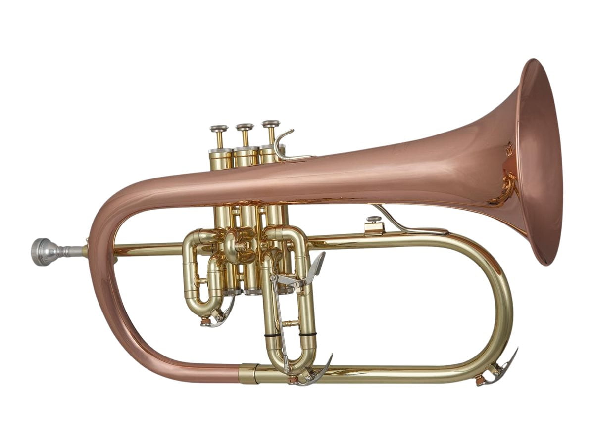 Blessing BFH1541RT Professional Flugelhorn, Lacquered Brass with 1