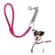 thumbnail image 1 of Correa Reforzada Amortiguador Entrenamiento Perros Mascotas, 1 of 8