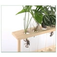thumbnail image 3 of Glass Test Tube Plant Terrarium, Polished 5 Test Tube Plant Terrarium  For African Violet, 3 of 8