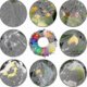 thumbnail image 4 of 100 Pack Mesh Drawstring Bags for Fruit Protection, Safeguard Grapes from Birds and Insects (30x20cm/23x17cm), 4 of 5